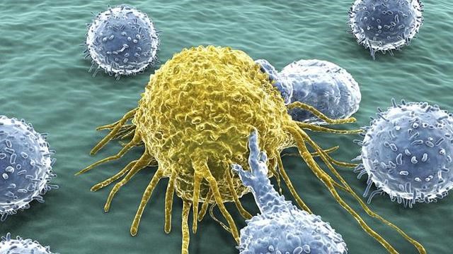 640_9fc2c0e8331071cancer1c34b801c87415caf9