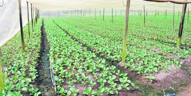 dvdsgeght_700_468_c1