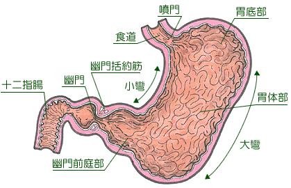 5540602_orig