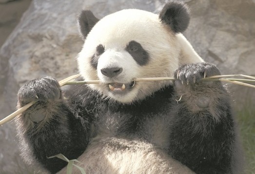 000_Was8928274_700_466_c1