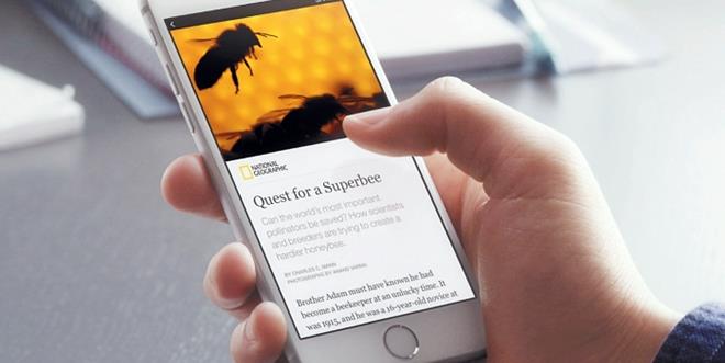 1-Article__new_.0_700_393_c1