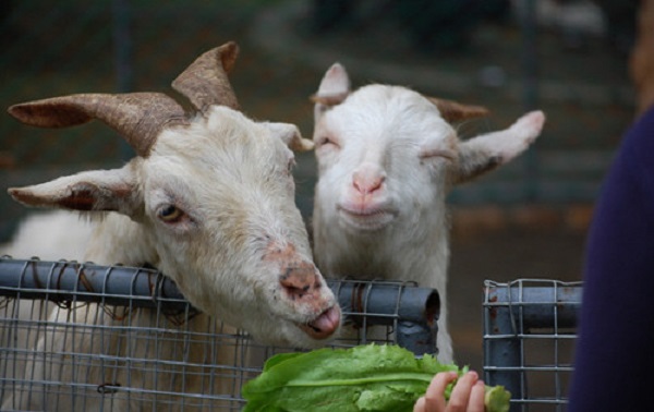 U581P4T8D7301069F107DT20150526094016