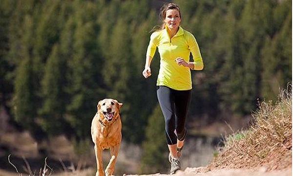 dog-fit-473676