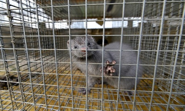 20150725151038634-0725_17011_001_01p