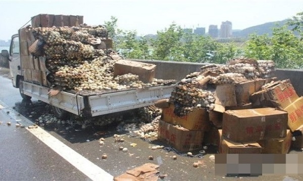 20150727042201276-0727_05011_001_01b