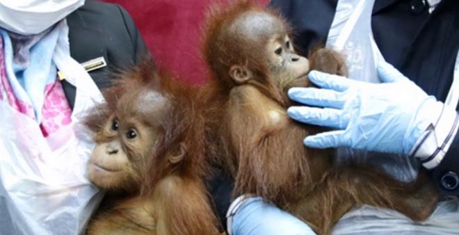 20150727HLQC01w_1_700_792_c1