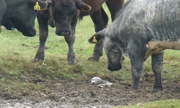 2AB2165200000578-3168266-image-a-67_1437399984612