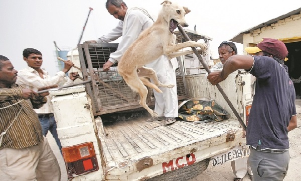 India20150722_700_499_c1
