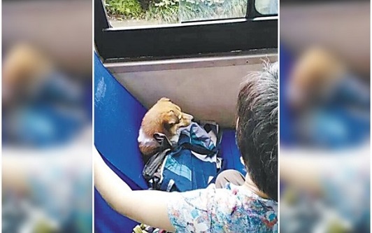 -20150819100217196-0819_05011_001_01p