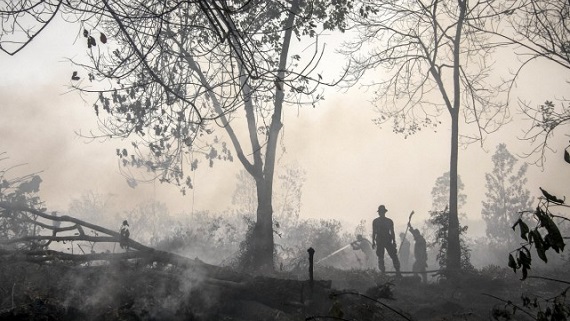 20150923_kalimantanindoinesiahaze_reuters