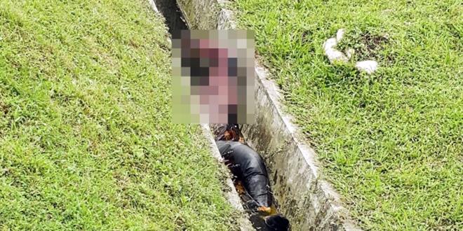 AiJ5t5h5NpKdqcrr7JCiHSnKCMP51nJRUgjQkfq1wFyB_700_500_c1