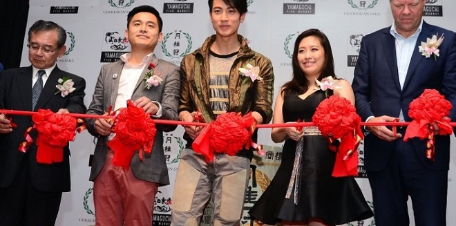 20151126HSTc12_700_401_c1