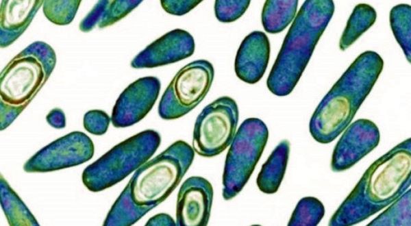 bknint-20151119210110112-1119_17011_001_01b