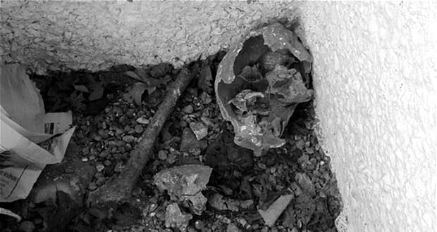 purley-bones_2883762bxxx