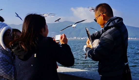 00235402d1c017d2630a3f_700_431_c1