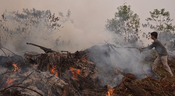 20140219_ln_yanmai02