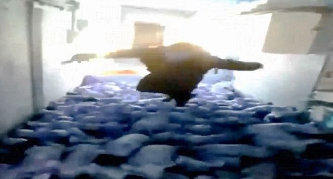 306A5B0E00000578-3409781-image-a-19_1453370195038_700_377_c1