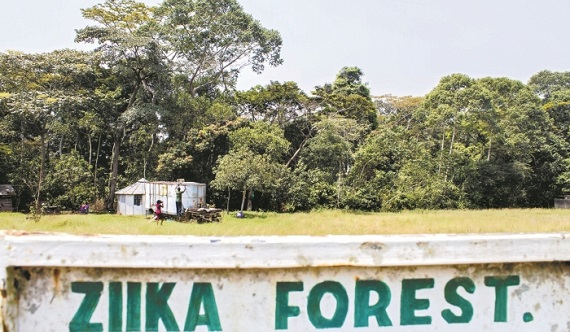 000_7I03N_(1)_700_466_c1