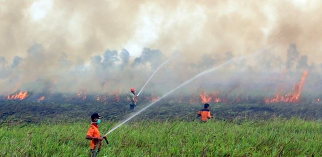 150916104027-se-asia-haze-indonesia-0905-super-169_700_394_c1