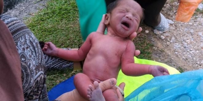 20160226005216_700_608_c1