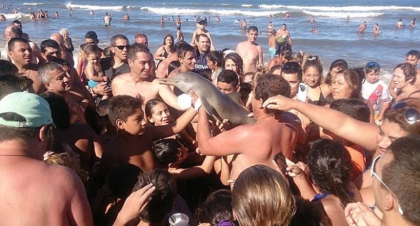 3151545800000578-0-image-a-3_1455736298717