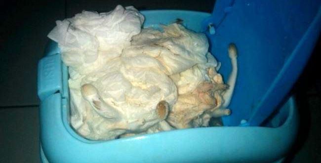 90c9cae4a03af93a2902807ee215938e