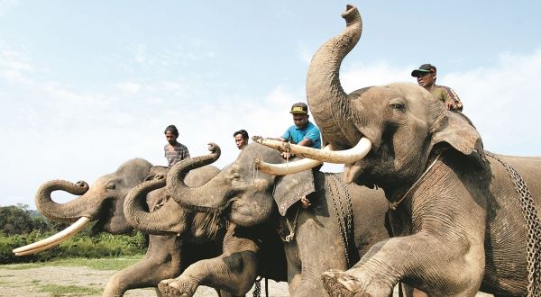 BJ869OAH00AO0001_600_388