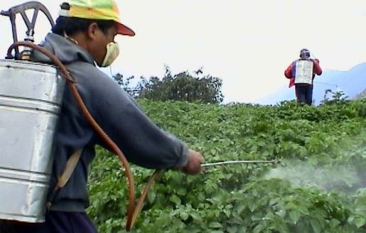pesticide-spray_besemer_515_386