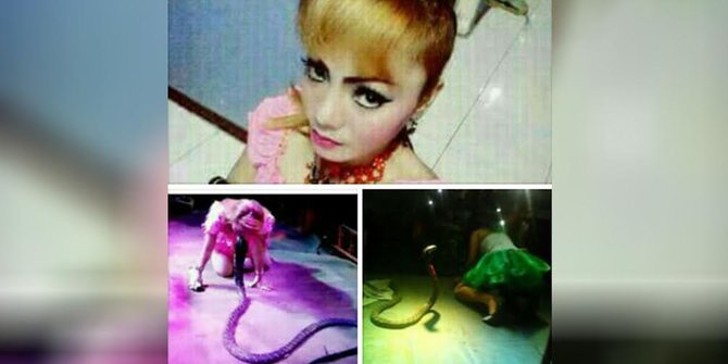 kronologi-pedangdut-irma-bule-tewas-dipatuk-kobra-di-atas-panggung