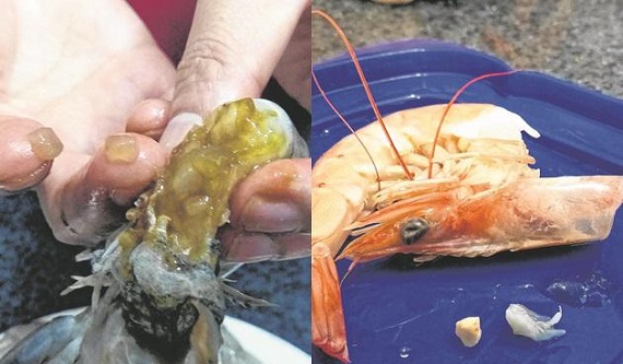 20160307_ln_prawn-01
