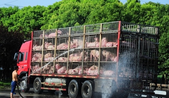 900x600_BSIISL2D00AP0001_700_436_c1