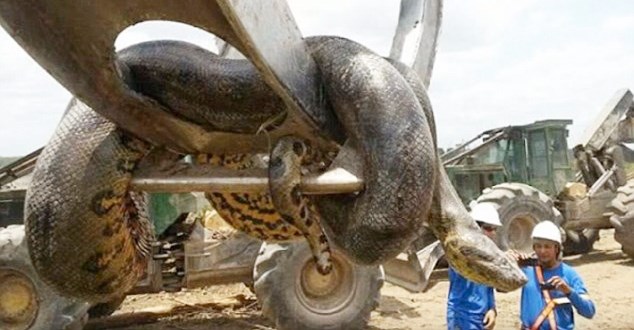 38C4070300000578-3806020-image-m-78_1474790201277