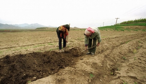 north-korea-drought_700_486_c1