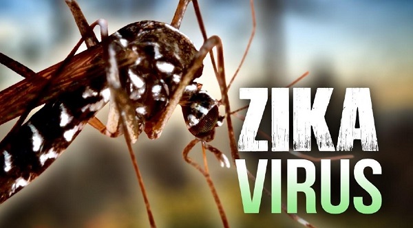 zika_1