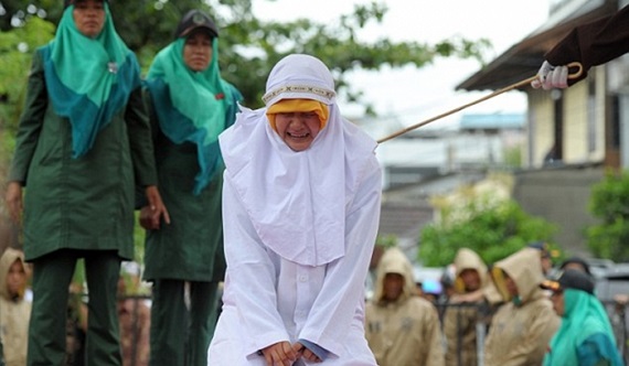 39752CC800000578-0-image-a-1_1476713032158_700_449_c1