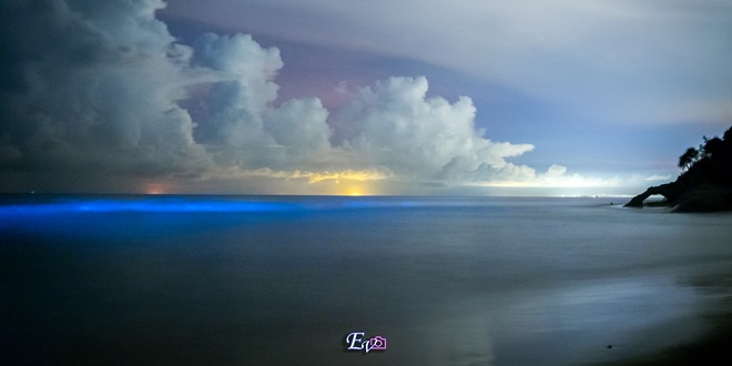 Blue Tears 2016 4