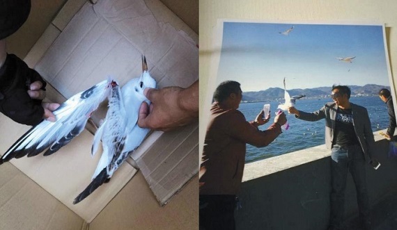 _2017011020011314952_700_425_c1