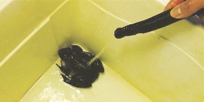 b14917765181708501_zhuhq_yz_1491745983970_s