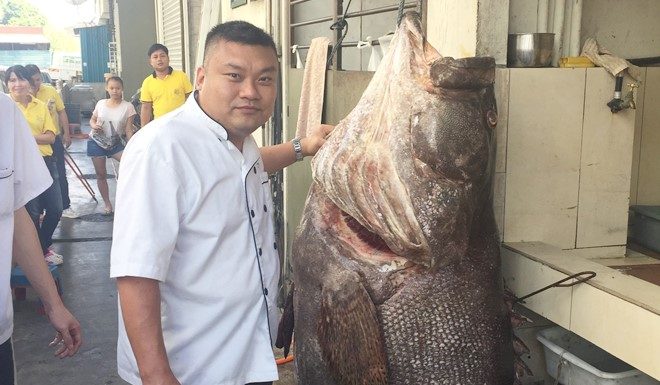 罕见超大320公斤重龙趸上钩