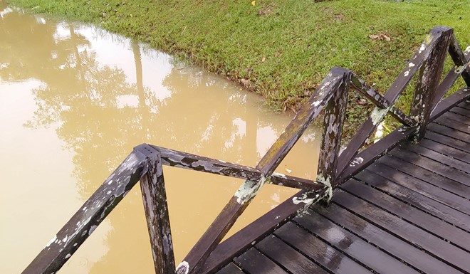 木板桥扶手不见了 过桥民众随时掉入沟