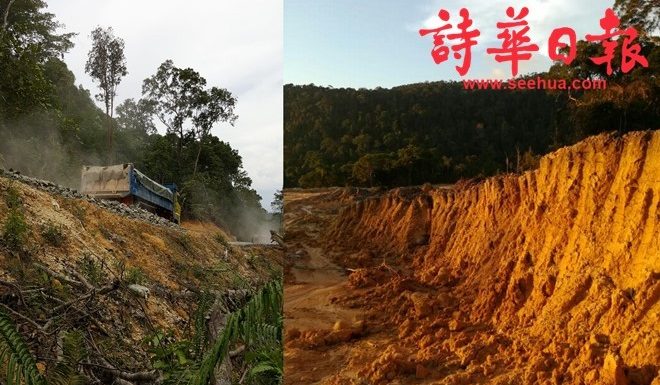 古晋峇哥公园面临浩劫