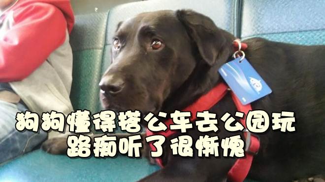 18620058_633016060237482_479698053503987748_n