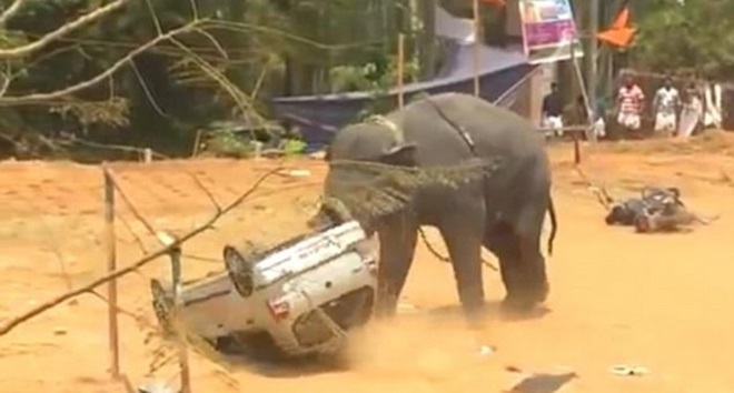 41AA376B00000578-4632226-image-a-11_1498212974876