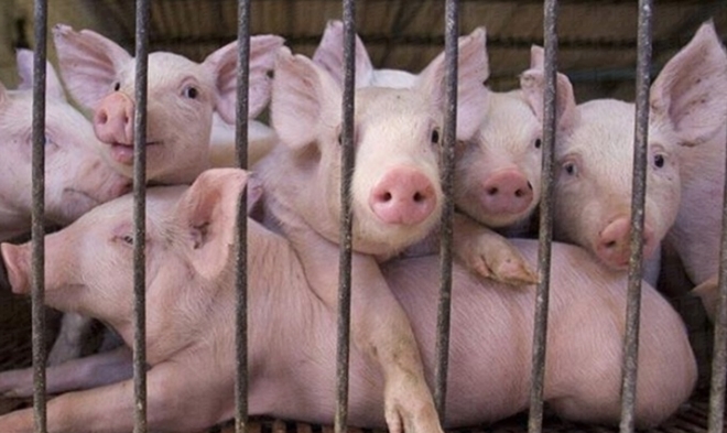 capture-20170612-153831