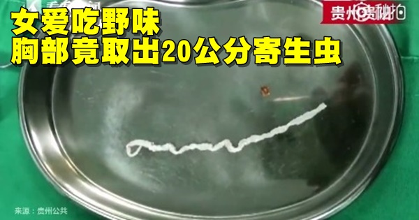 d2755735
