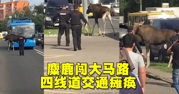 420_31e7888e1bb57487c1e1022076aff4fa