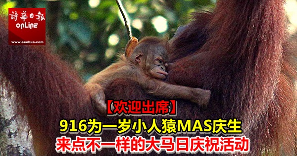 8bc0f228-d243-4a54-9b16-c72acd09ce34