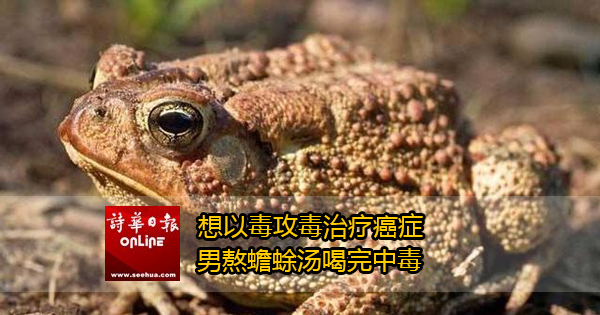 1-已修復