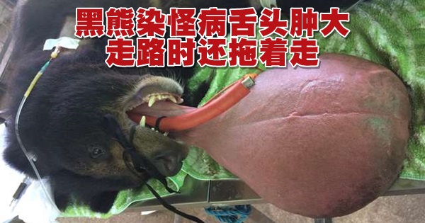 640_368b852294f84e18bf147baf1625b1c0