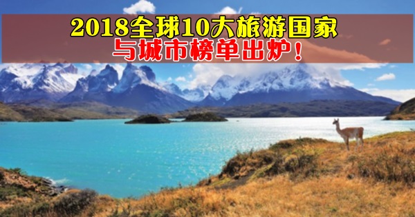 Guanaco-in-Torres-del-Paine-National-Park-Chile-1600x900